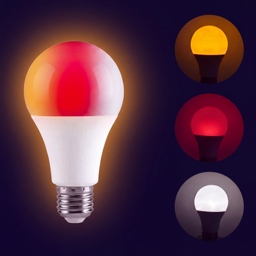 Circadian Body Clock Bulb